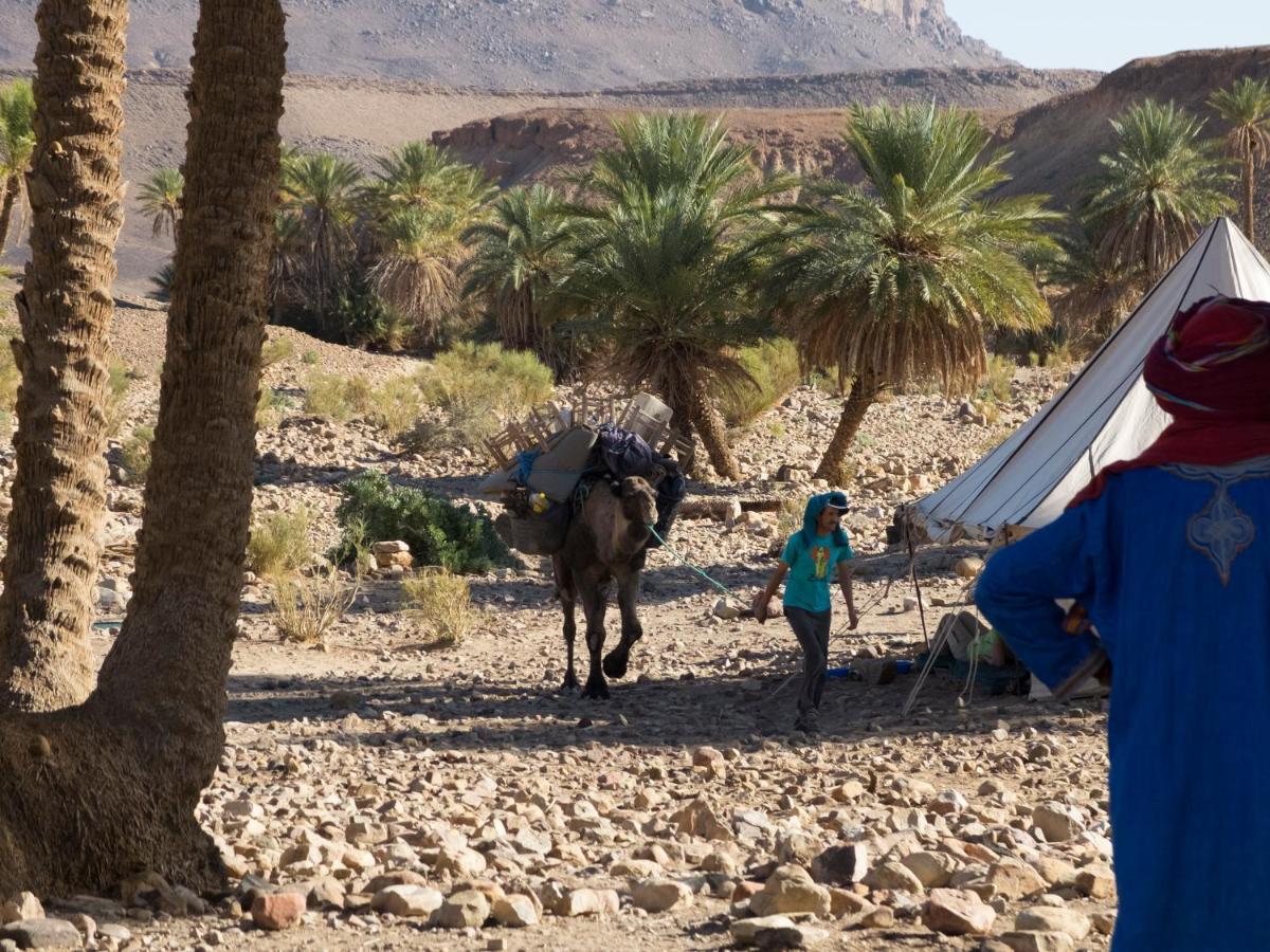 Bivouac Les Nomades & Foum Zguid To Chegaga Tours 호텔 외부 사진