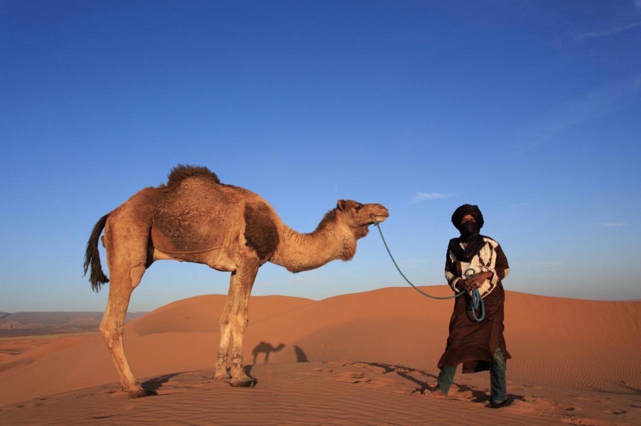 Bivouac Les Nomades & Foum Zguid To Chegaga Tours 호텔 외부 사진
