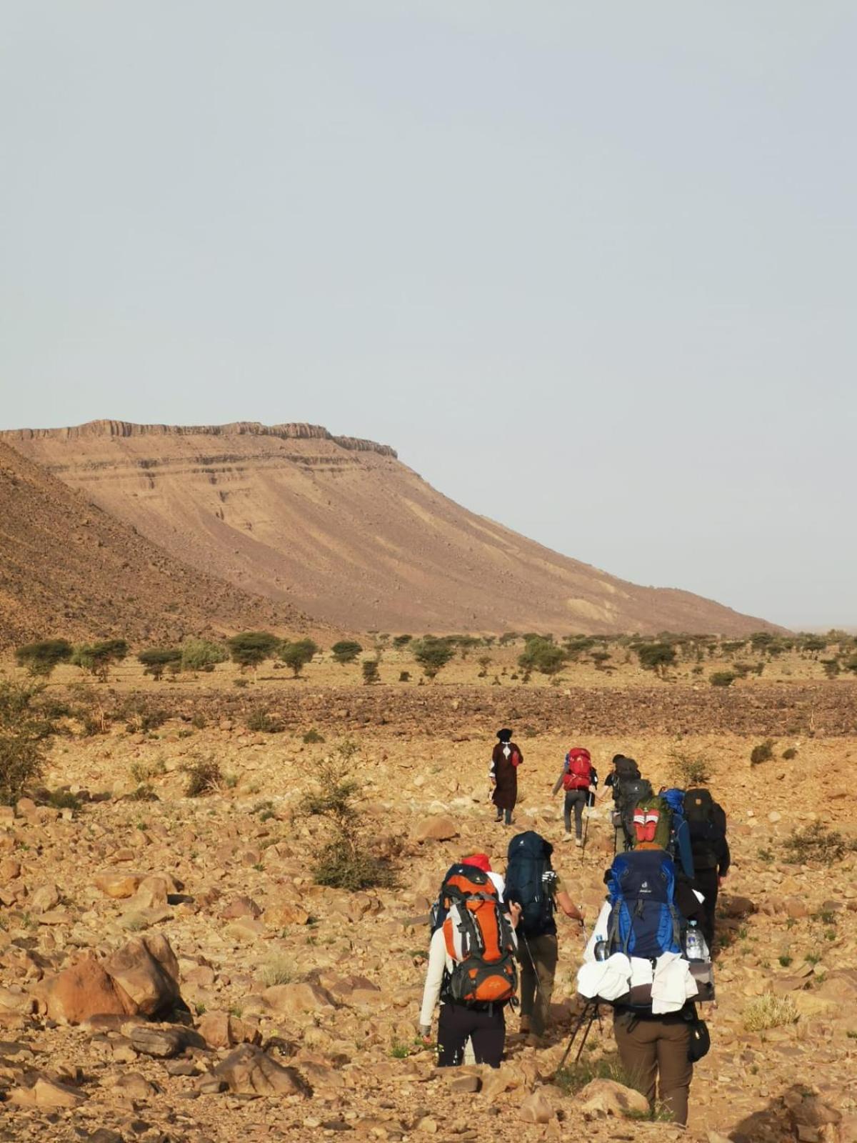 Bivouac Les Nomades & Foum Zguid To Chegaga Tours 호텔 외부 사진