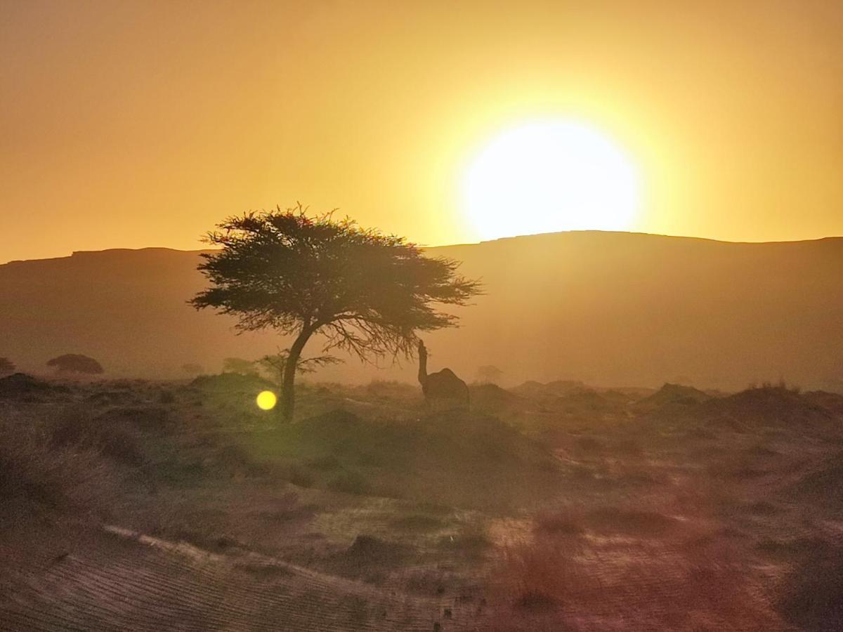 Bivouac Les Nomades & Foum Zguid To Chegaga Tours 호텔 외부 사진
