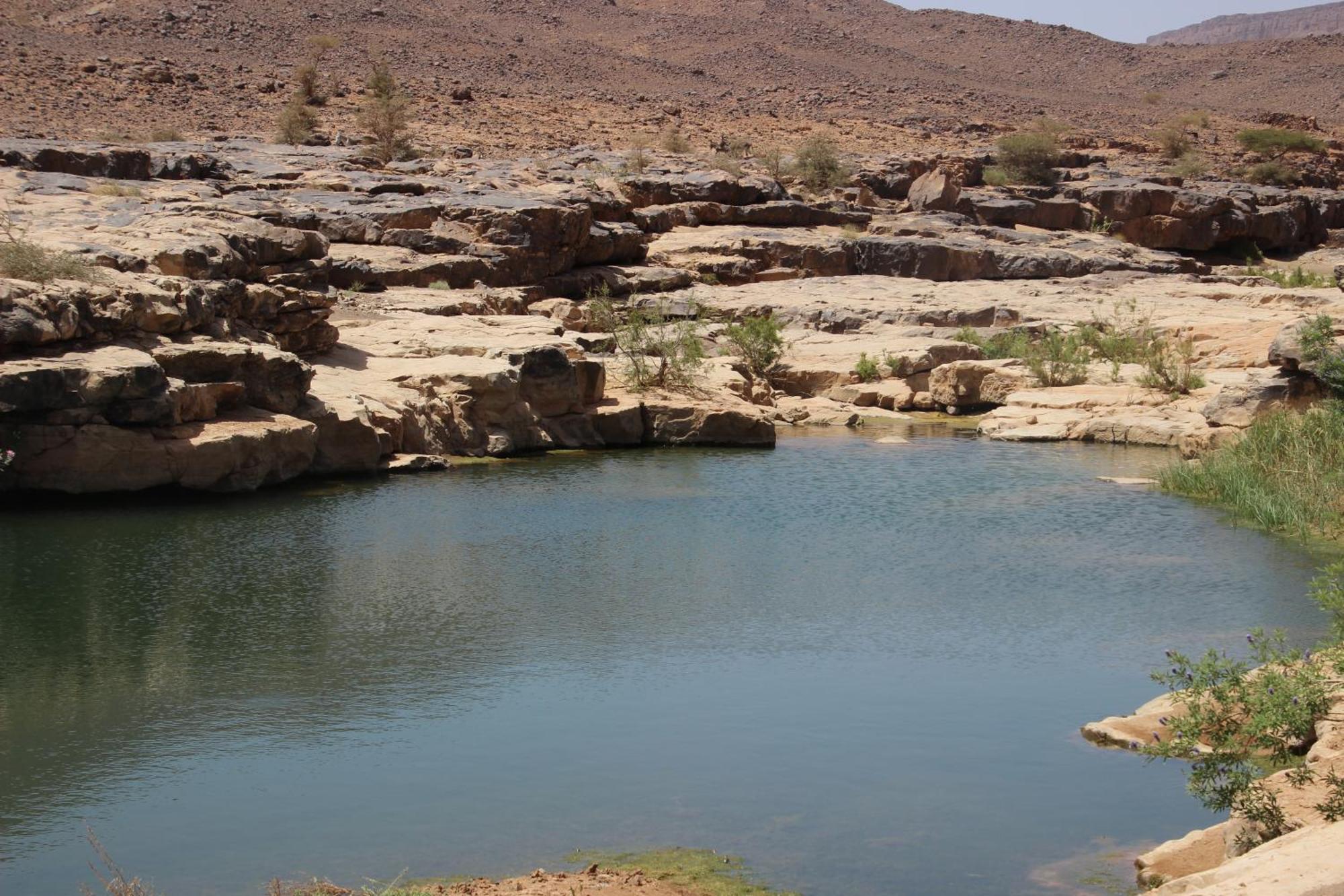 Bivouac Les Nomades & Foum Zguid To Chegaga Tours 호텔 외부 사진
