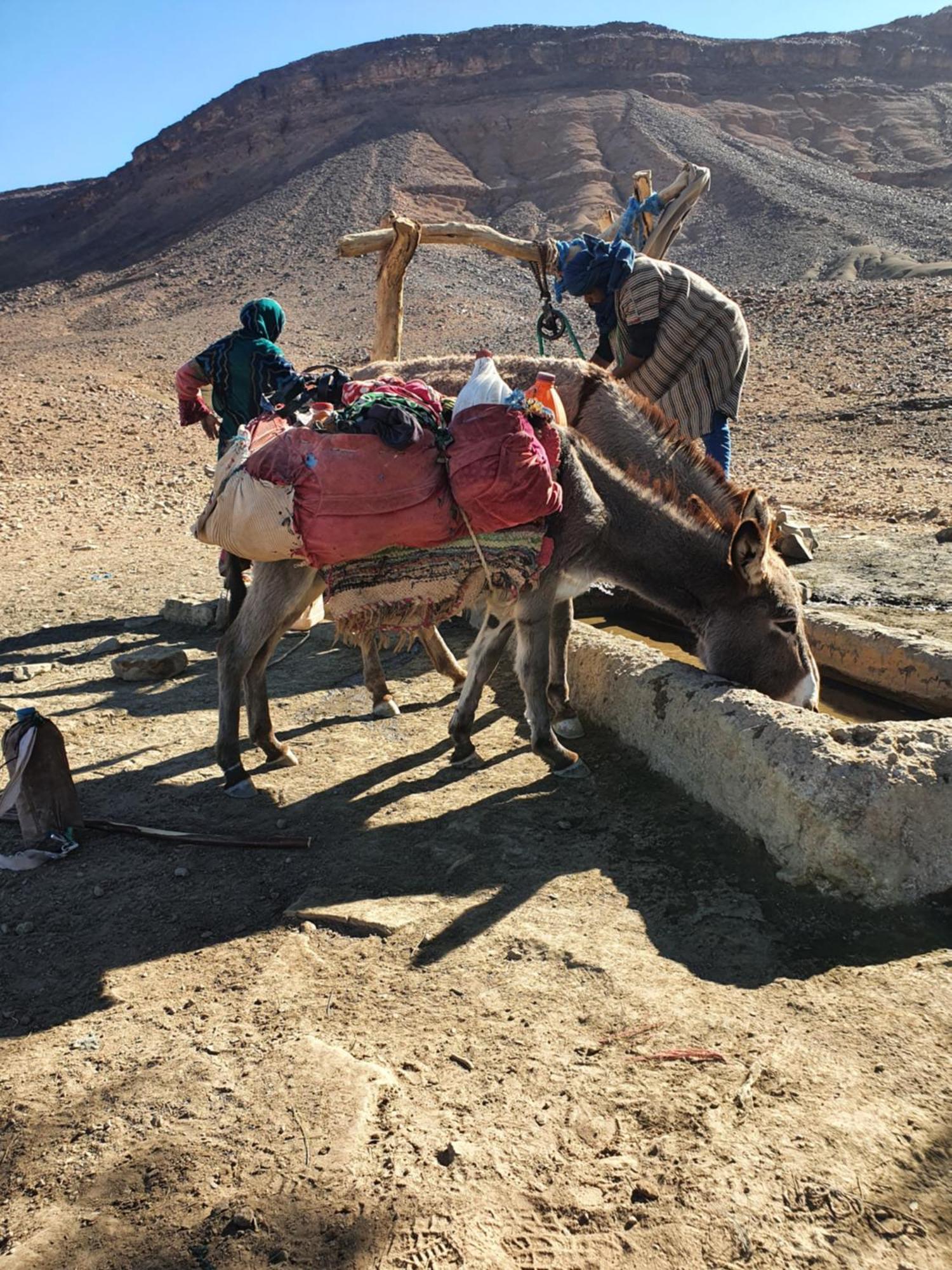 Bivouac Les Nomades & Foum Zguid To Chegaga Tours 호텔 외부 사진