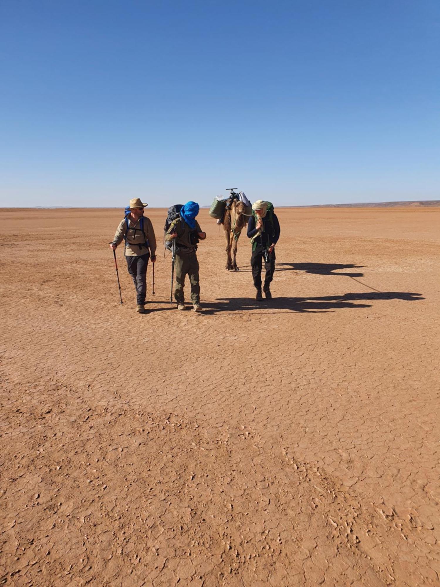 Bivouac Les Nomades & Foum Zguid To Chegaga Tours 호텔 외부 사진