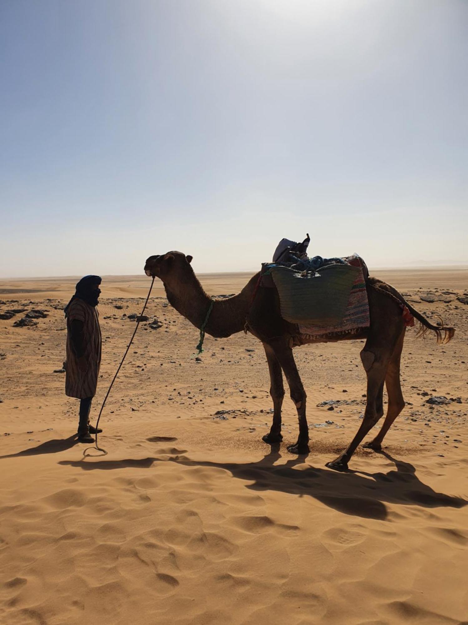 Bivouac Les Nomades & Foum Zguid To Chegaga Tours 호텔 외부 사진