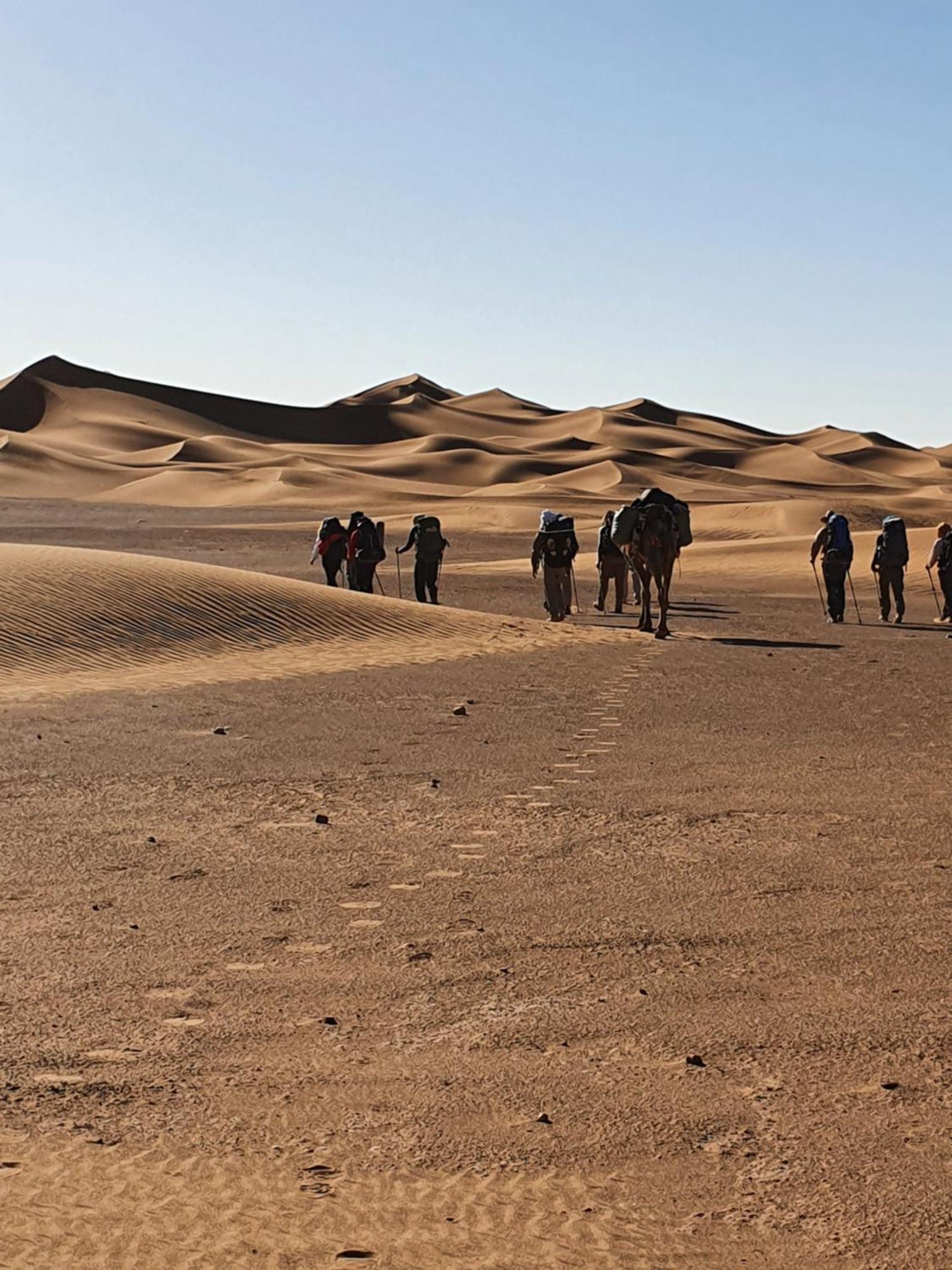 Bivouac Les Nomades & Foum Zguid To Chegaga Tours 호텔 외부 사진